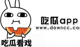 网红视频吃瓜最新网站下载,最新热门视频下载攻略